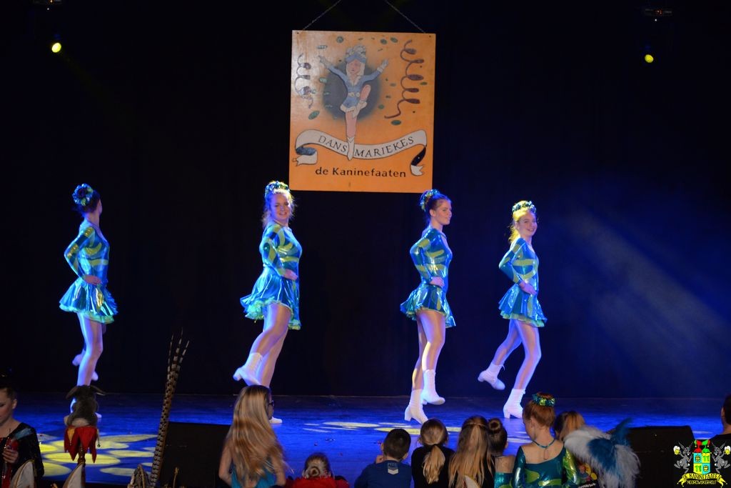 ../Images/Dansmarieke festival 2018 180.jpg